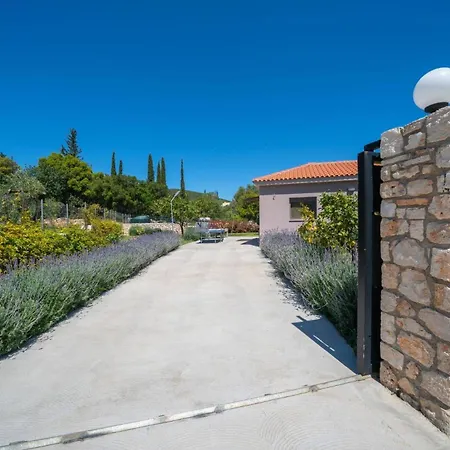 Villa Nectar By